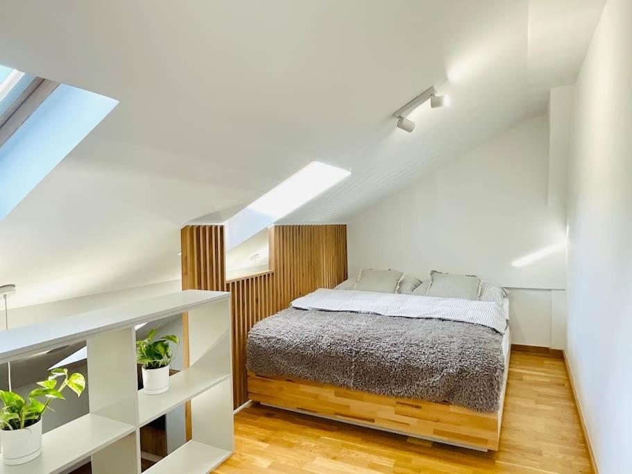 Apartament Piccolo Bielsko-Biała Exteriör bild
